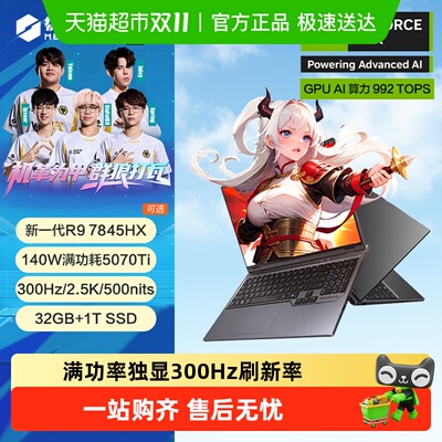 机械革命蛟龙16Pro电竞游戏本