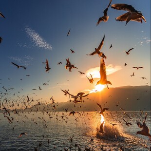 云南昆明2日1晚跟团游+官渡古镇+滇池