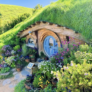 新意盎然 新西兰南北岛库克山9日跟团游18人团 全国联运上海出发