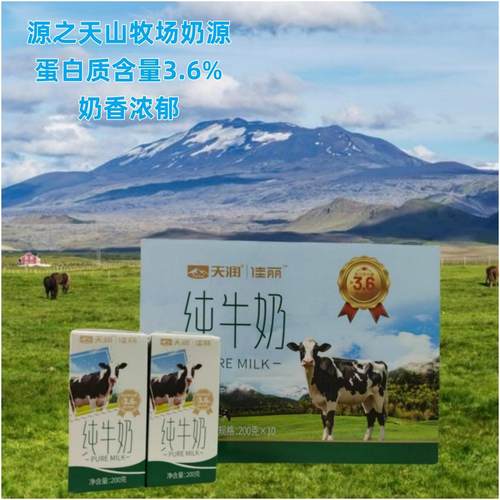 新疆天润佳丽3.6蛋白纯牛奶