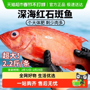 云储生活红石斑鱼冷冻红鱼深海石班鱼富贵鱼海鲜水产超大整条