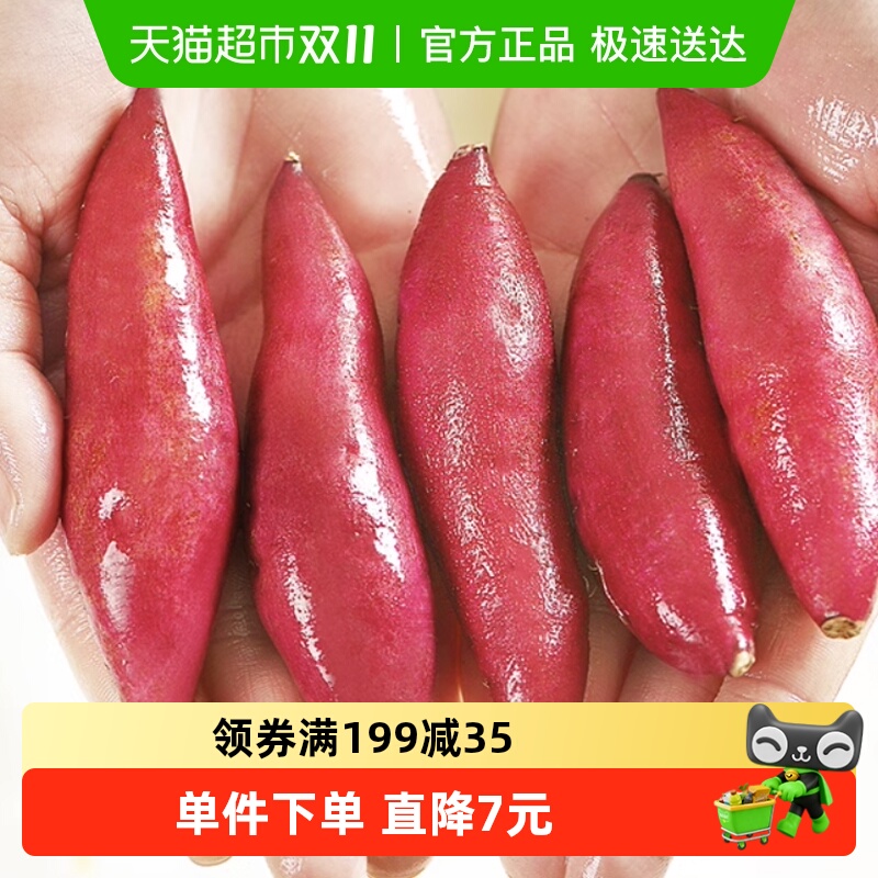 胡鲜森当季新鲜红皮黄心红薯