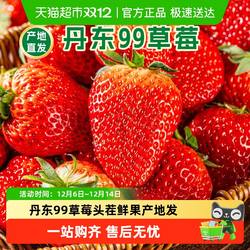 丹东99红颜草莓辽宁东港九九奶油草莓当季新鲜水果丹东产地直发