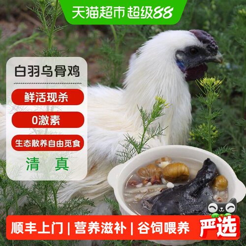 大用乌鸡鲜香多汁1050g*2只