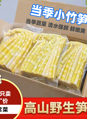 2025野生小竹笋小春笋清水笋嫩笋尖火锅笋鲜笋高山嫩竹笋商用批发
