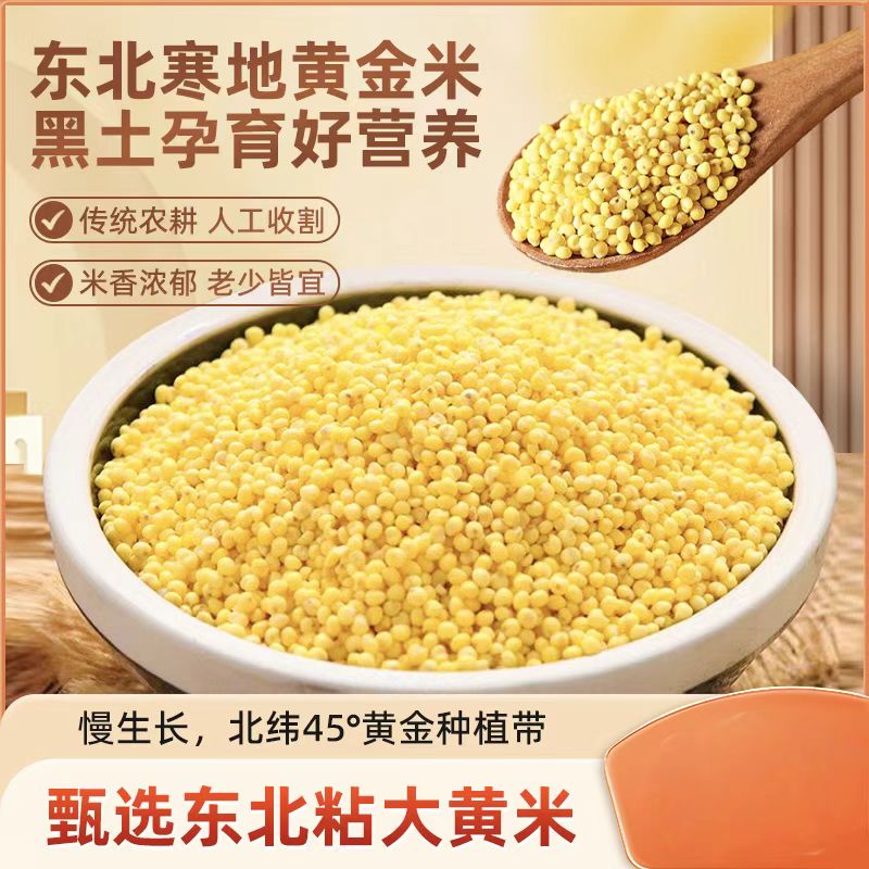 东北直发大黄米新货五谷杂粮黄米粘米粽子煮粥