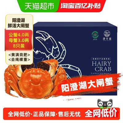 澄方圆阳澄湖大闸蟹公4母3两8只