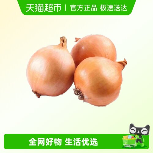 鲁香德山东黄皮新鲜洋葱1.6kg