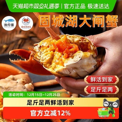 渔传播固城湖大闸蟹全母蟹礼盒