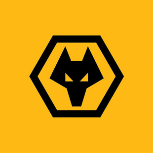 [莫利诺克斯球场-英超-狼队主场球票]英超联赛球票 狼队球票 布力般流浪主场球票代订