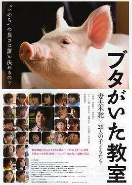 小猪教室