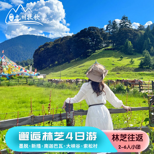 西藏林芝旅游雅鲁藏布大峡谷索松村来古冰川巴松措新措南伊沟4天