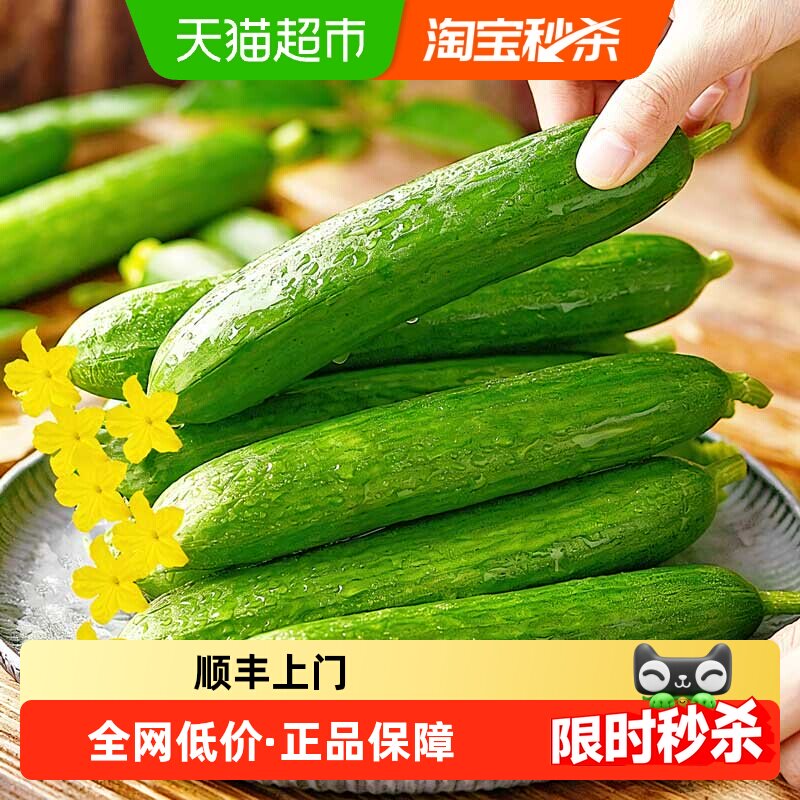 繁花似锦即食黄瓜鲜香浓郁