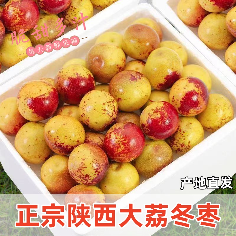 陕西大荔冬枣新鲜大果应季整箱枣子青枣脆枣冰糖大枣5斤当季水果