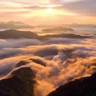 [武夷山国家公园-景(免)车票(3日车)][武夷山国家公园-景免车票（3日车）]武夷山景免三日观光车