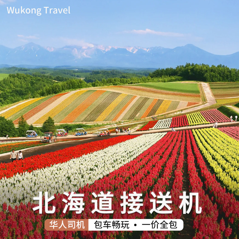 北海道接机新千岁机场接机到札幌小樽洞爷湖登别富良野二世谷中文
