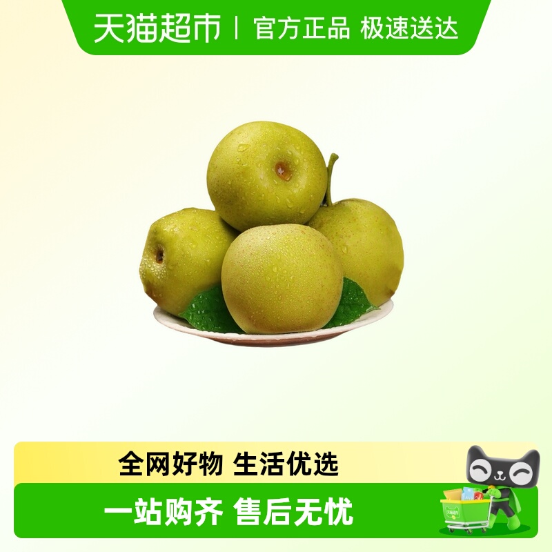 【特大爆甜】正宗翠冠梨当季新鲜脆甜黄花梨香酥雪梨水果