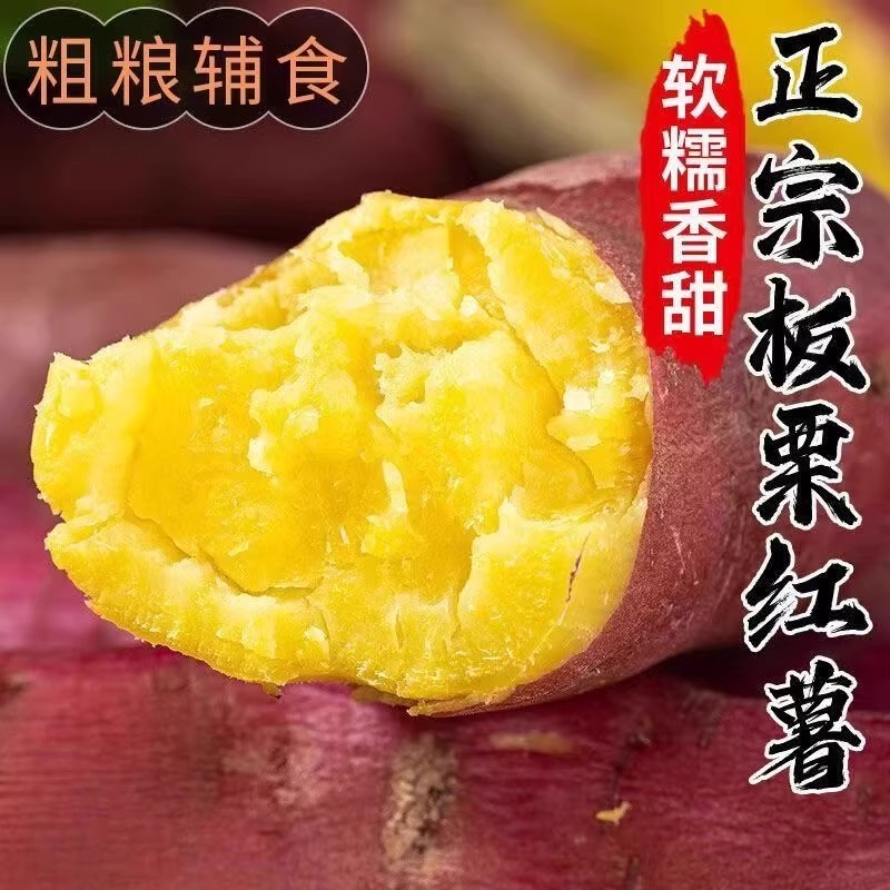 板栗红薯9斤红薯农家沙地黄心地瓜现挖黄心山芋农板栗种番薯