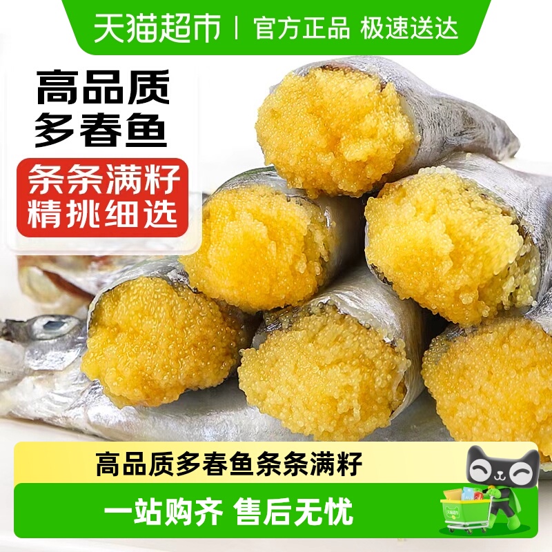 多春鱼新鲜商用特大冻干多籽鱼