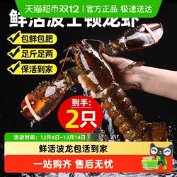龙虾鲜活波士顿大龙虾加拿大龙虾特大波龙大澳龙海鲜小龙虾