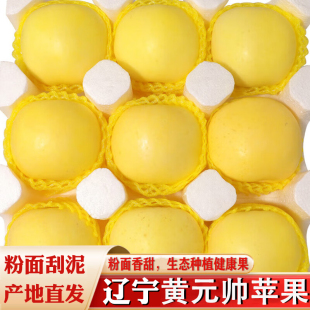 包邮 粉面刮泥黄苹果香蕉苹果 帅苹果9斤新鲜水果当季 正宗东北黄元