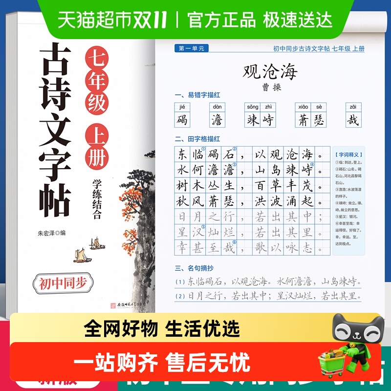 金枝叶初中练字本