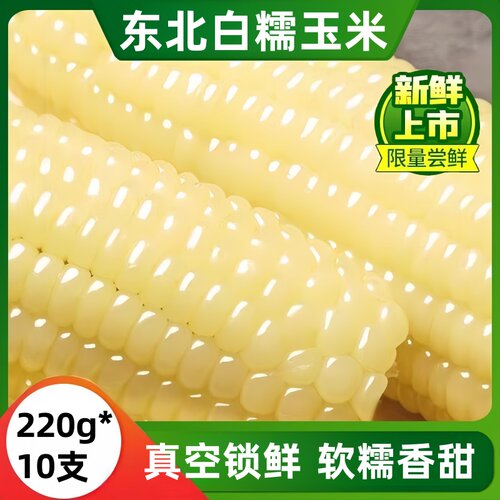 东北白糯玉米甜黏玉米棒农家自种真空袋装新鲜现摘东北粘苞谷