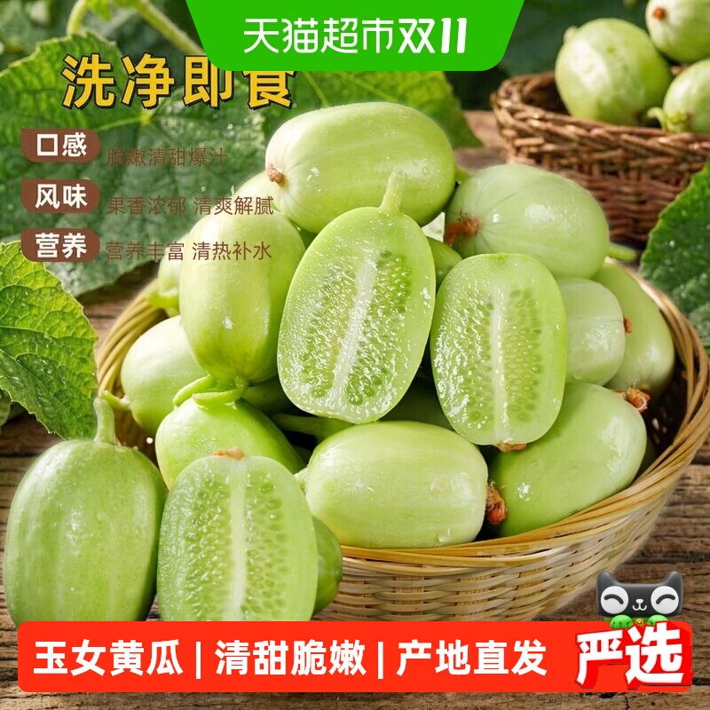 栗贝诺山东玉女水果黄瓜新鲜生吃拇指小黄瓜 脆嫩清甜爽口小黄瓜