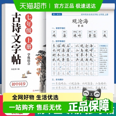 金枝叶初中练字本