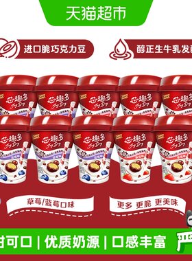 畅轻JoyDay巧克力豆酸奶草莓蓝莓