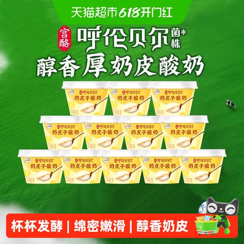 伊利奶皮子酸奶低温冷藏发酵乳