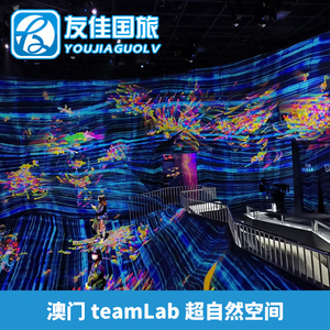 [澳门teamLab超自然空间-全天通用票]澳门网红热点旅游景区美术馆