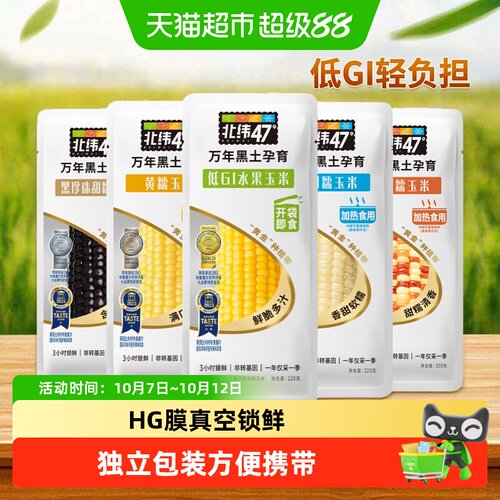 北纬47度玉米黑土锁鲜人工采摘