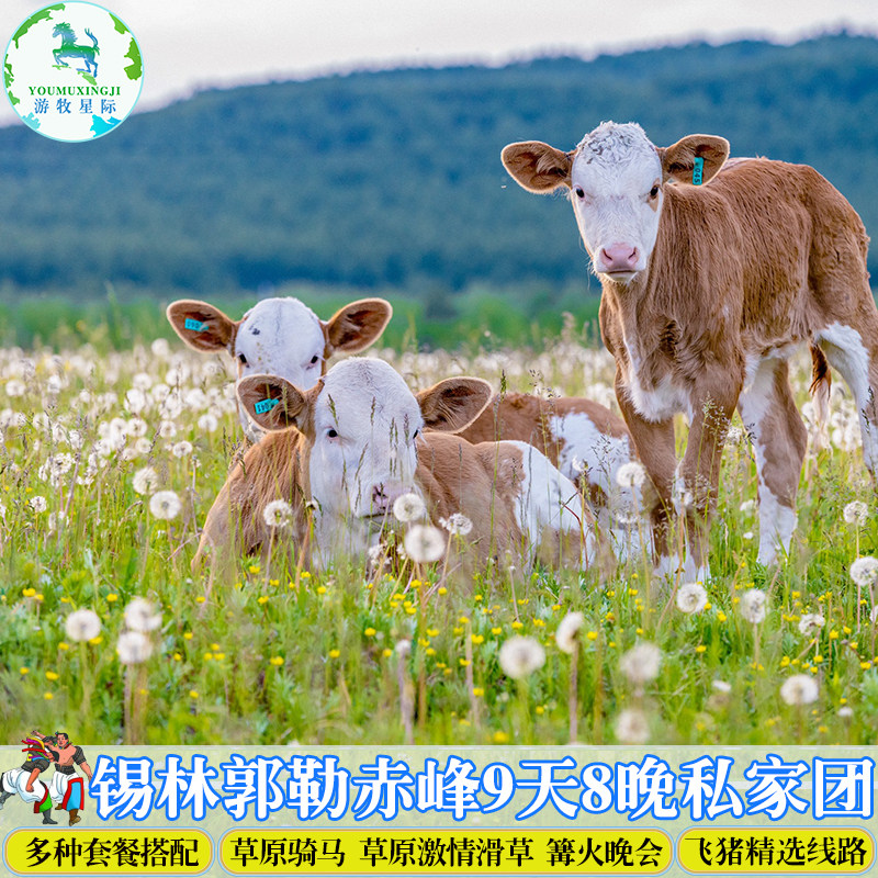 锡林郭勒大草原乌拉盖旅游赤峰热水多伦太仆寺9天8晚私家团亲子游