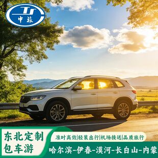 东北哈尔滨伊春五大连池长白山牡丹江镜泊湖黑河漠河代订旅游包车