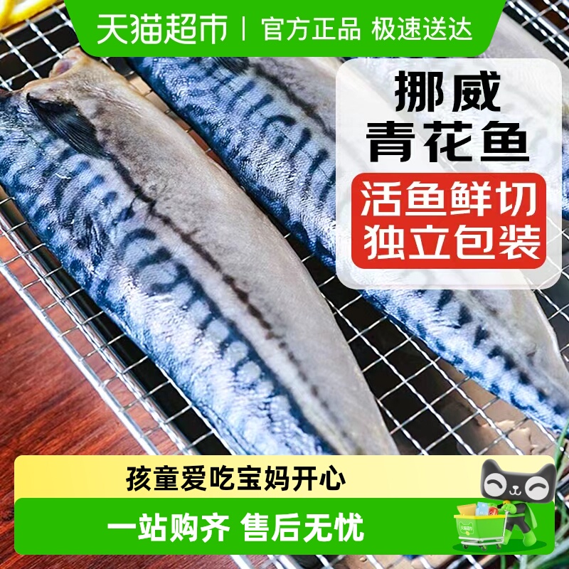 海仙部落青花鱼挪威进口日式盐渍