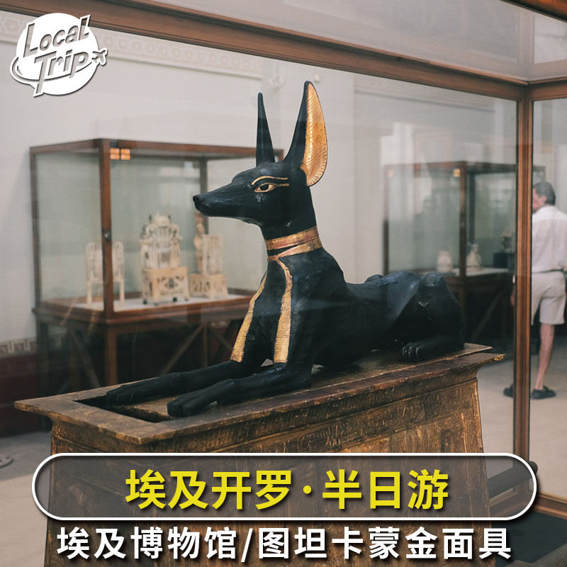 埃及开罗 埃及博物馆半日游 狮身人面像黄金面具图坦卡蒙木乃伊