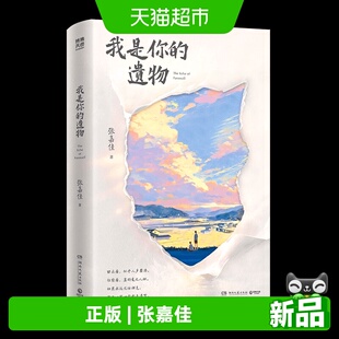我是你的遗物 张嘉佳2026年全新小说时隔5年写作风格升维突破之作