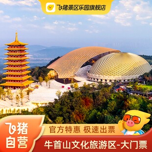 [牛首山文化旅游区-门票]官方特惠极速出票牛首山大门票