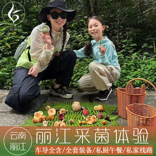 丽江古城纯玩小团一日游
