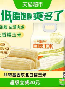 十月稻田非转基因东北白糯玉米