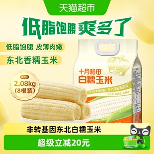 十月稻田非转基因东北白糯玉米低脂早餐