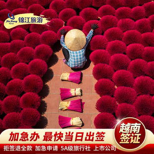 越南·十五天单次入境·上海送签·加急当天上海出15天另纸签越南落地批文越南签证个人evisa越南签证另纸