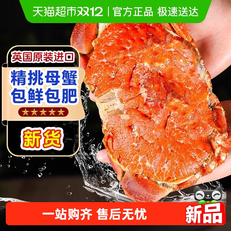 卖鱼郎先生面包蟹母熟冻超大鲜活