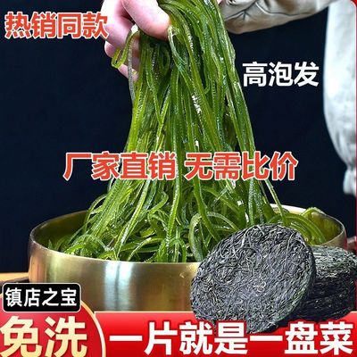 正宗无盐高泡发压缩海带丝干货凉拌火锅麻辣烫煲汤下饭菜整箱批发