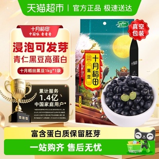 十月稻田黑豆五谷杂粮豆东北绿芯黑豆大豆可醋泡可盐炒 次日达