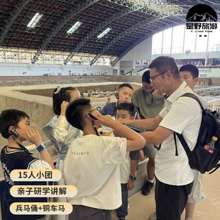 西安旅游兵马俑亲子研学深度讲解5小时含铜车马一日游纯玩