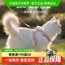 柒哦猫咪牵引绳防挣脱外出专用遛猫绳子溜猫链子狗狗可调节胸背带