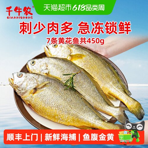 千牛农鲜活冷冻生鲜海鱼黄花鱼
