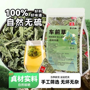 车前草农产品正宗车前草泡水喝新鲜干货整株车轮草茶包泡水花草茶